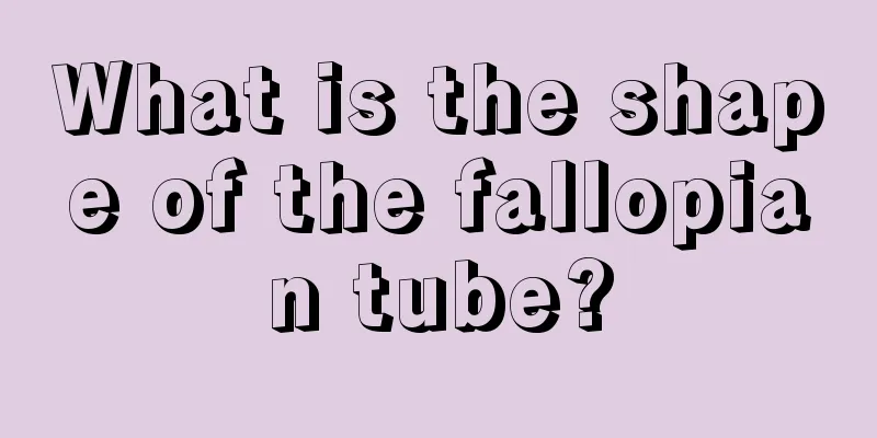 What is the shape of the fallopian tube?