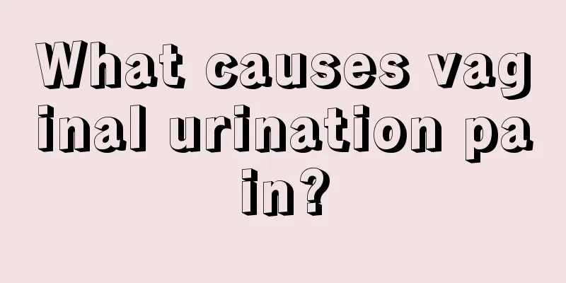 What causes vaginal urination pain?