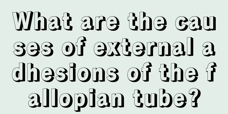 What are the causes of external adhesions of the fallopian tube?