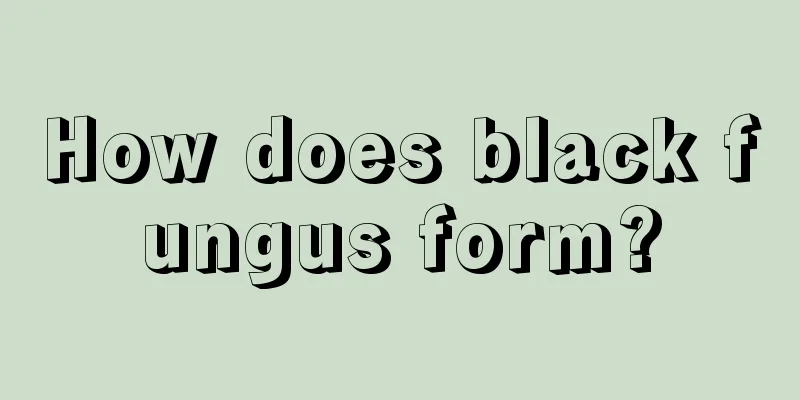 How does black fungus form?