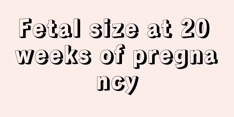 Fetal size at 20 weeks of pregnancy