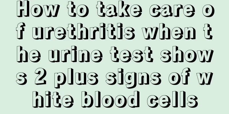 How to take care of urethritis when the urine test shows 2 plus signs of white blood cells