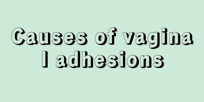 Causes of vaginal adhesions