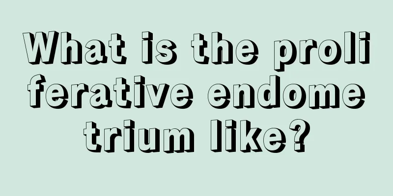 What is the proliferative endometrium like?