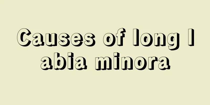 Causes of long labia minora