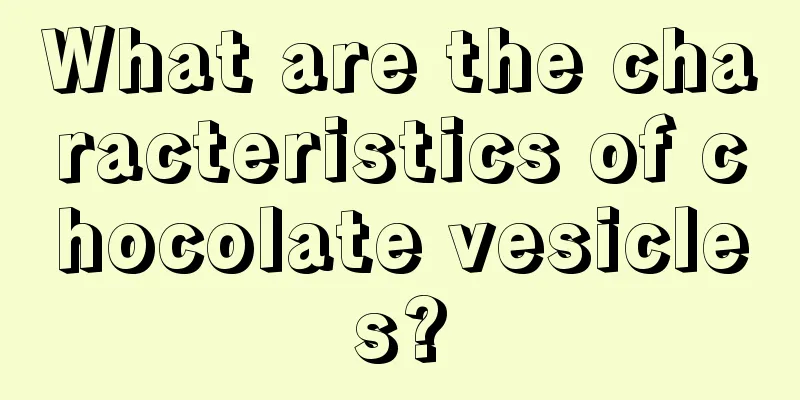 What are the characteristics of chocolate vesicles?