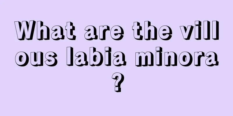 What are the villous labia minora?