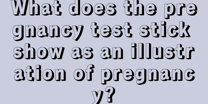 What does the pregnancy test stick show as an illustration of pregnancy?