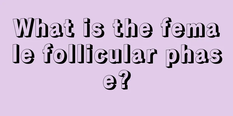 What is the female follicular phase?