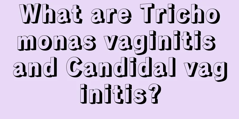 What are Trichomonas vaginitis and Candidal vaginitis?