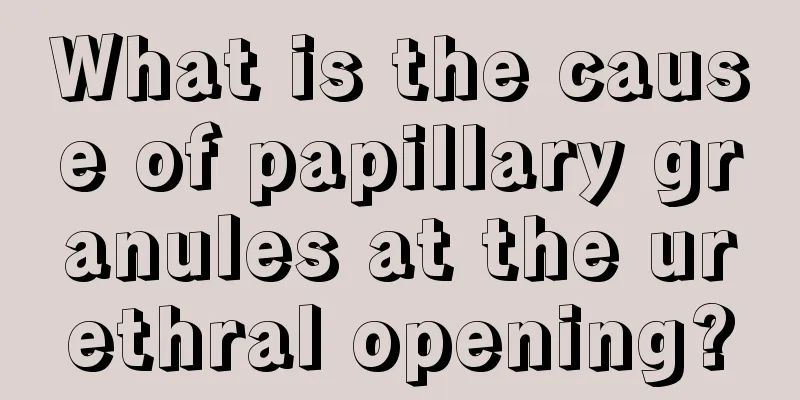 What is the cause of papillary granules at the urethral opening?