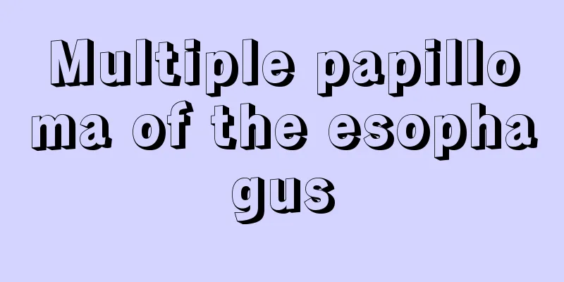 Multiple papilloma of the esophagus