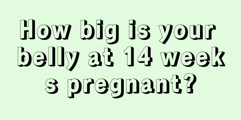 How big is your belly at 14 weeks pregnant?