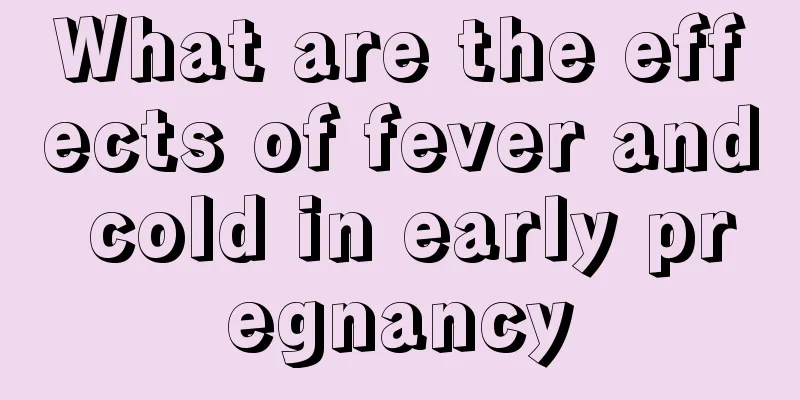 What are the effects of fever and cold in early pregnancy