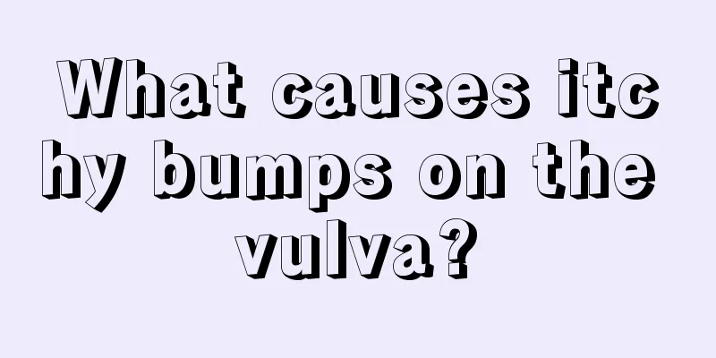 What causes itchy bumps on the vulva?