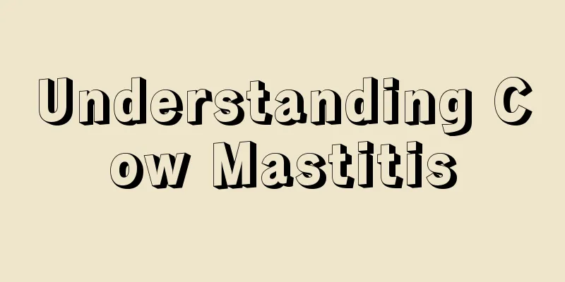 Understanding Cow Mastitis