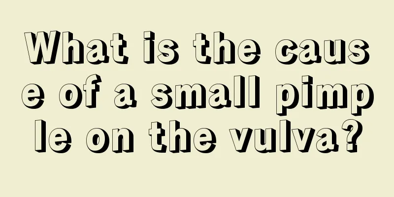 What is the cause of a small pimple on the vulva?