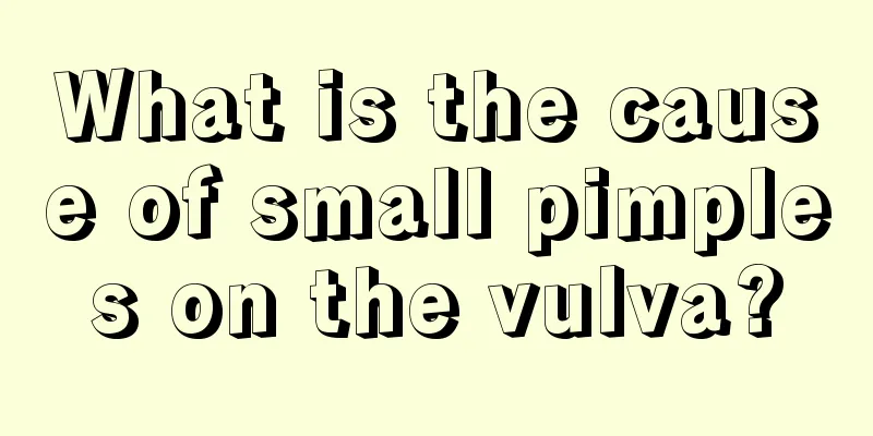 What is the cause of small pimples on the vulva?