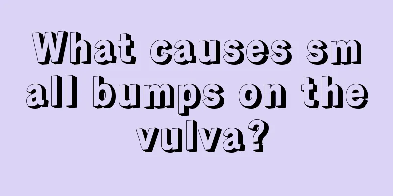 What causes small bumps on the vulva?