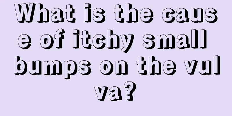 What is the cause of itchy small bumps on the vulva?