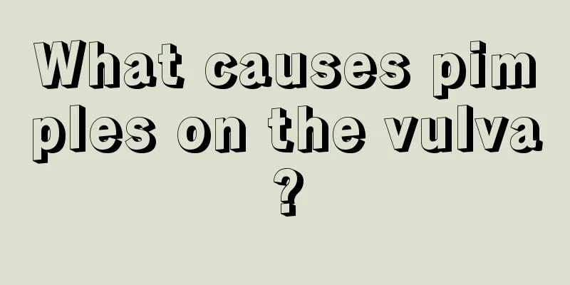 What causes pimples on the vulva?