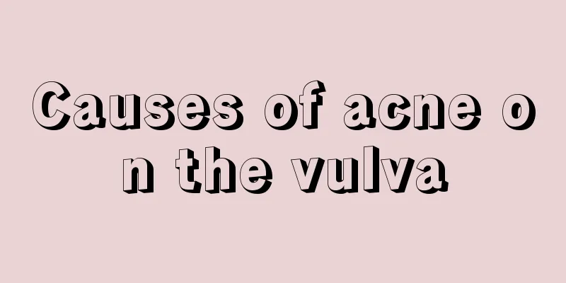 Causes of acne on the vulva