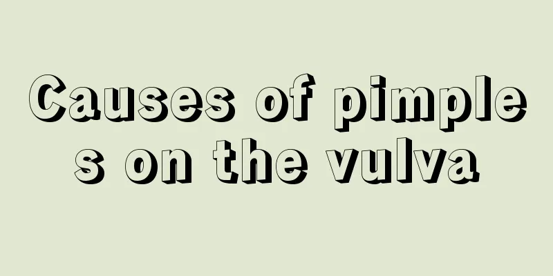 Causes of pimples on the vulva