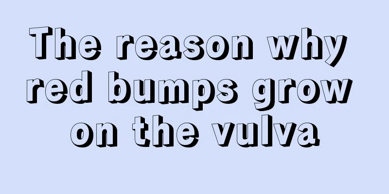 The reason why red bumps grow on the vulva