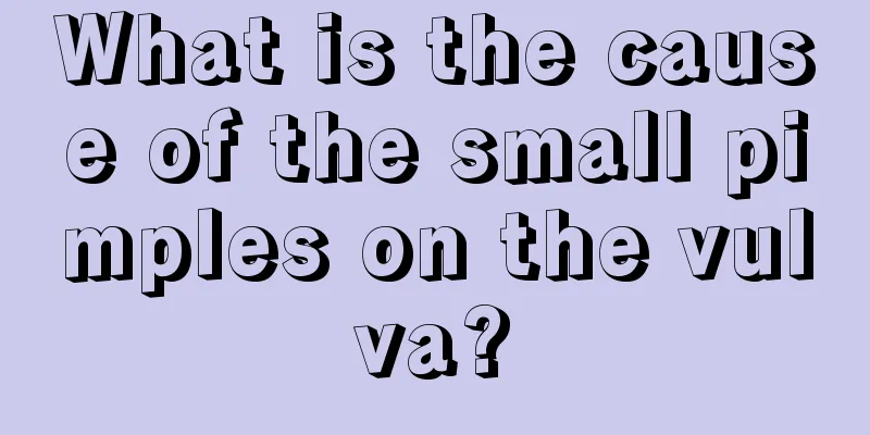 What is the cause of the small pimples on the vulva?