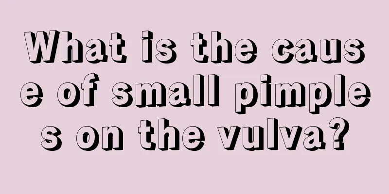 What is the cause of small pimples on the vulva?