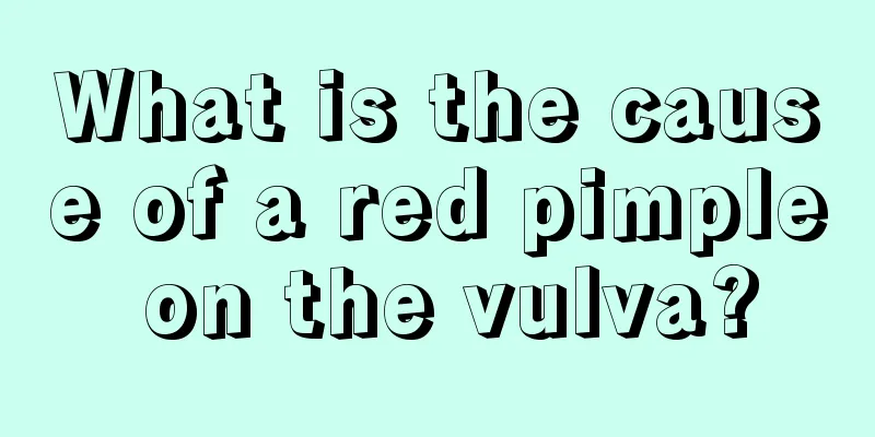 What is the cause of a red pimple on the vulva?