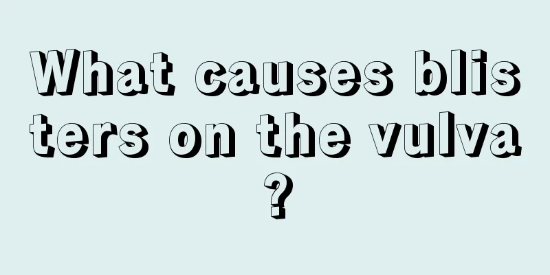 What causes blisters on the vulva?