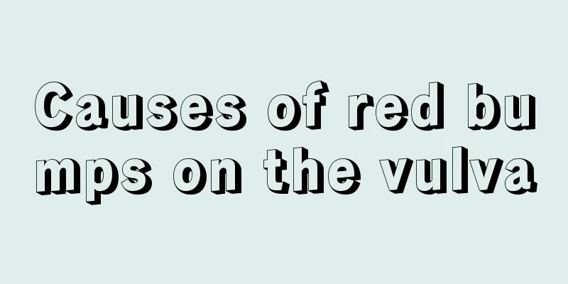 Causes of red bumps on the vulva