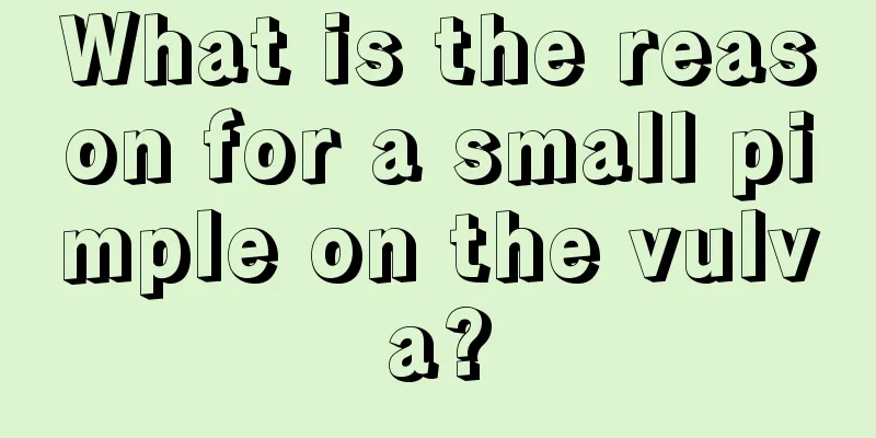 What is the reason for a small pimple on the vulva?