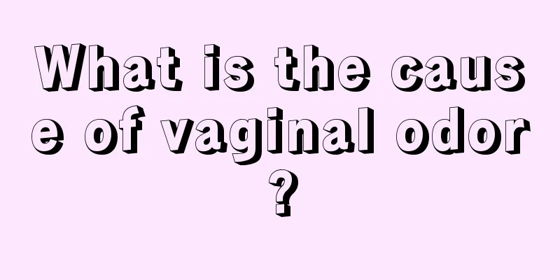 What is the cause of vaginal odor?