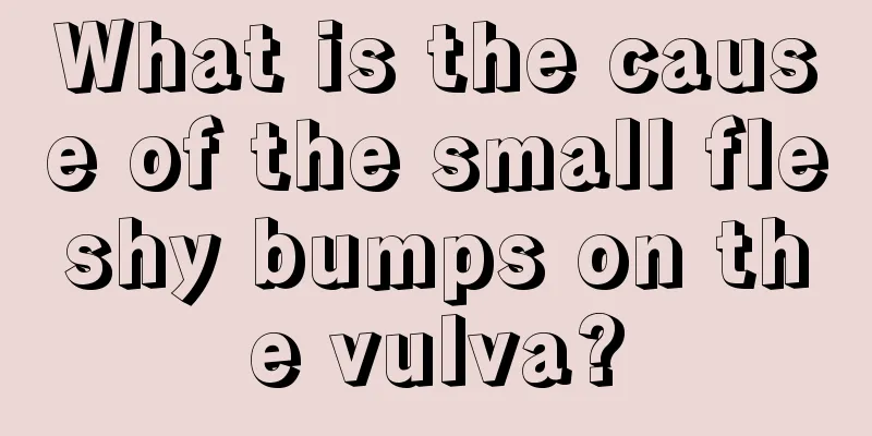 What is the cause of the small fleshy bumps on the vulva?