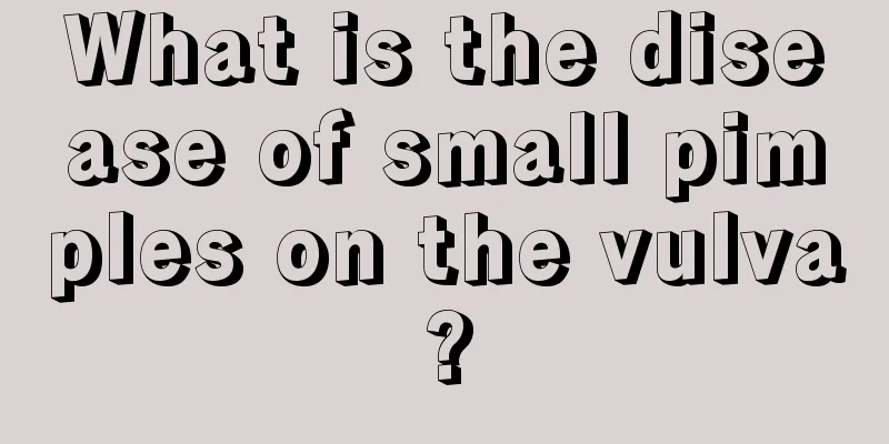 What is the disease of small pimples on the vulva?