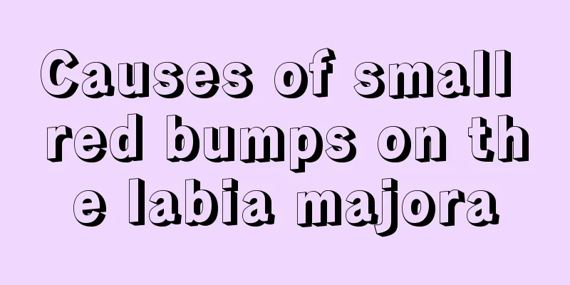 Causes of small red bumps on the labia majora