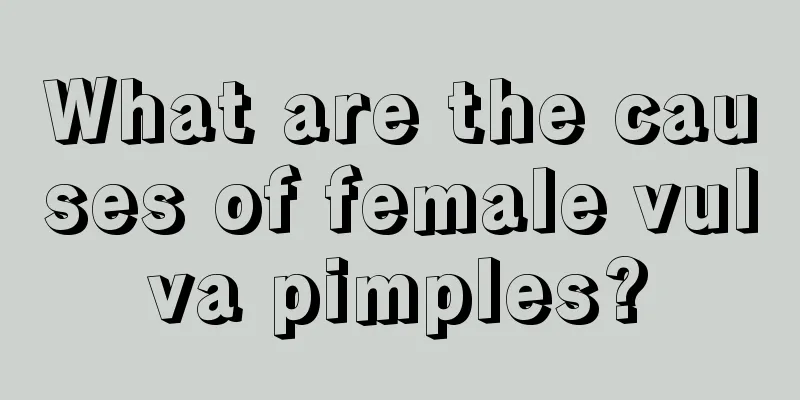 What are the causes of female vulva pimples?