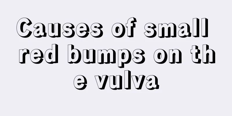 Causes of small red bumps on the vulva