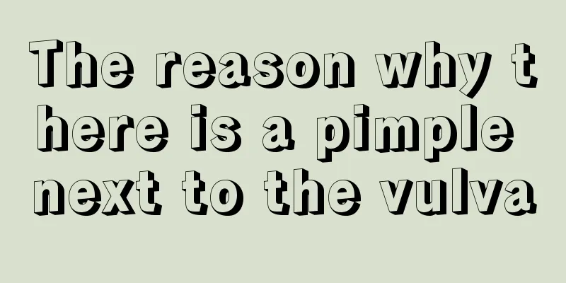 The reason why there is a pimple next to the vulva