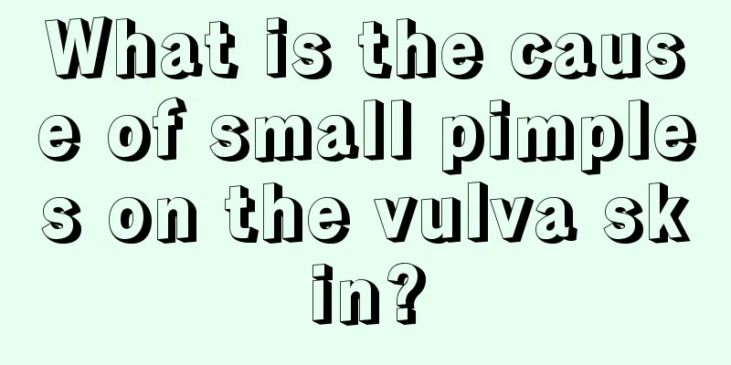 What is the cause of small pimples on the vulva skin?