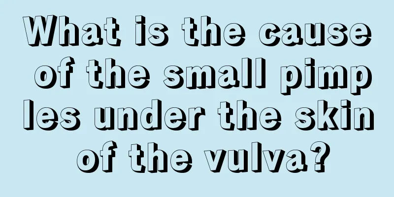 What is the cause of the small pimples under the skin of the vulva?