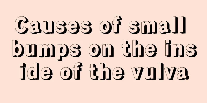 Causes of small bumps on the inside of the vulva