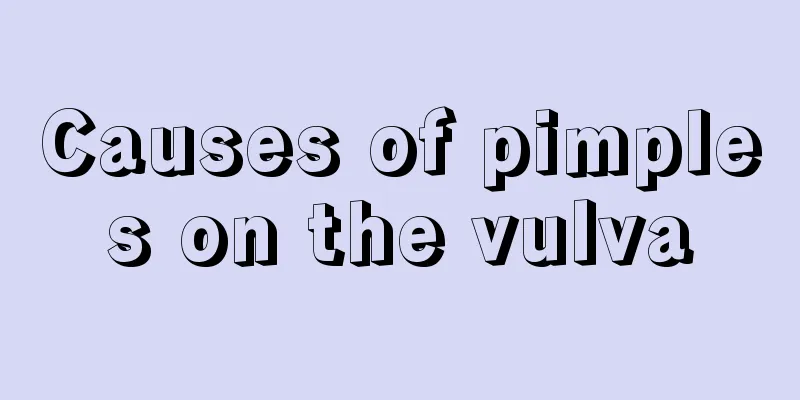 Causes of pimples on the vulva