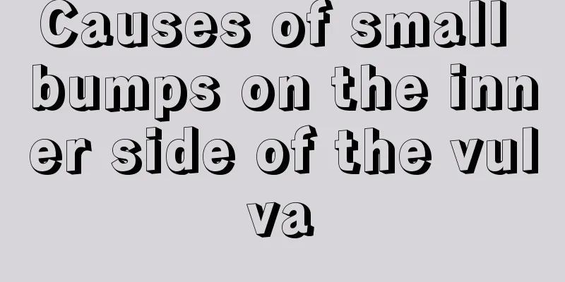 Causes of small bumps on the inner side of the vulva