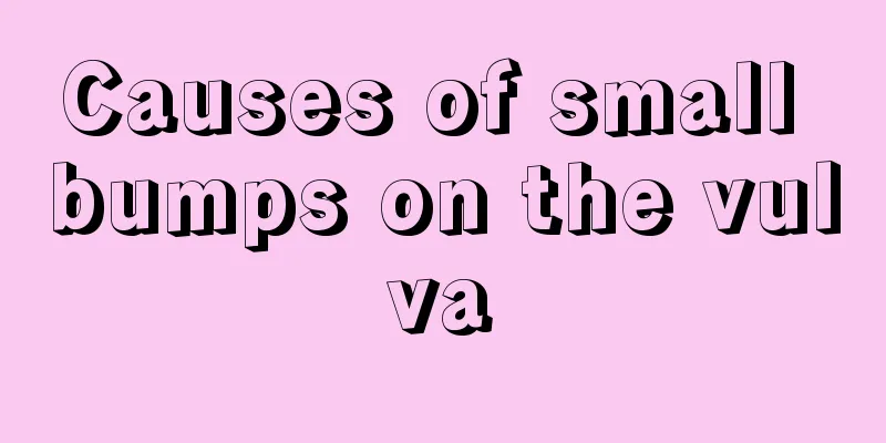 Causes of small bumps on the vulva