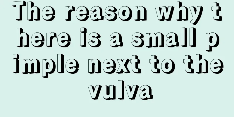 The reason why there is a small pimple next to the vulva