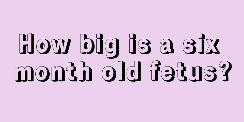 How big is a six month old fetus?