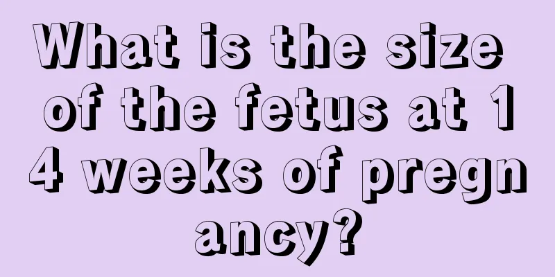 What is the size of the fetus at 14 weeks of pregnancy?